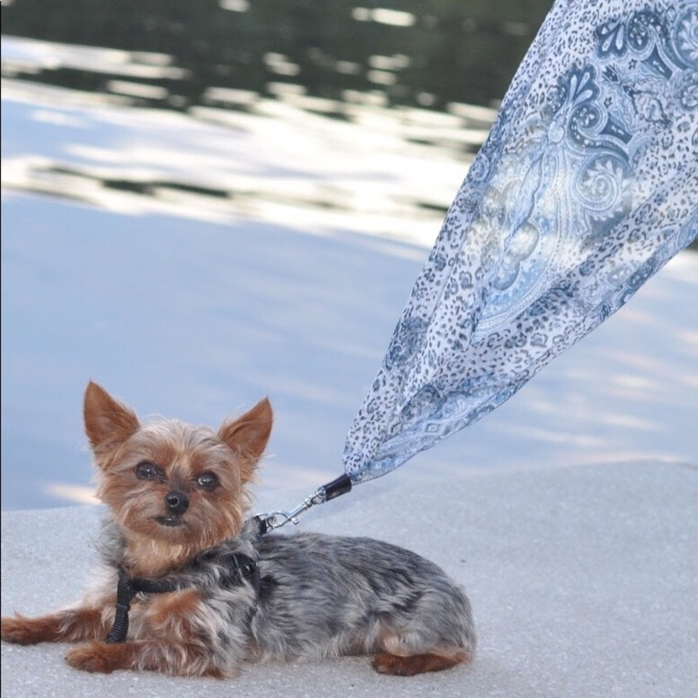 Elegant Small Dog Scarf Leash